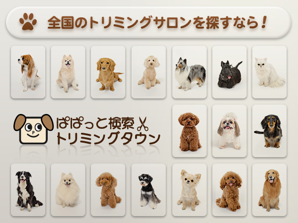 全国のペット美容室 トリミングサロンの検索サイト ぱぱっと検索 トリミングタウン サービス開始 株式会社seecのプレスリリース 全国のペット美容室 トリミングサロンの検索サイト ぱぱっと検索 トリミングタウン サービス開始 株式会社seecのプレスリリース