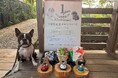 愛犬と泊まれるプライベート温泉付き宿泊エリア「Dear Wan Spa Garden」オープン1周年記念 プレゼントキャンペーンと特別な宿泊プランを10月1日(水)より提供開始