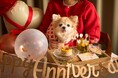 愛犬＆飼い主様が歩んだ長い年月をお祝いする期間限定キャンペーン「うちの子ワン暦キャンペーン！」5月17日（日）より開催