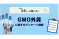 【38人調査】GMO外貨に関するアンケート調査