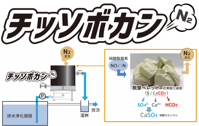コスト手軽