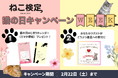 2月22日は猫の日!!『ねこ検定 猫の日キャンペーンウィーク』スタート!