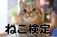 のべ3万人以上が「猫の気持ちをより理解できるようになった」ねこ検定、2026年3月に全国一斉開催!