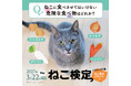 約４万人が受験した世界最大級の猫知識専門検定「ねこ検定」、10年目の節目となる第10回試験を2027年3月に全国一斉開催。
