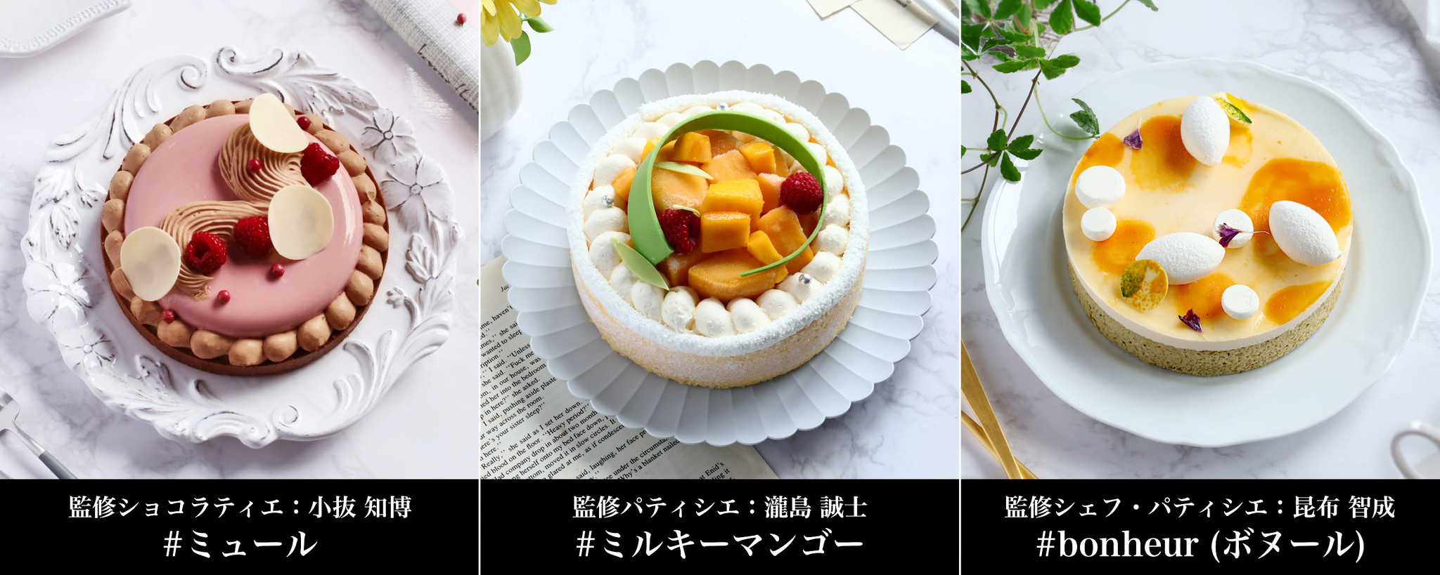 フォトジェニックスイーツの全国宅配サービス Likesweetsbox で人気有名店のパティシエとコラボした芸術的で洗練された3種類のケーキ が7月より販売開始 株式会社liketoryのプレスリリース