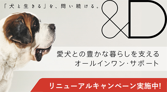 メニコン D のコアサービス 犬のみらい保障 がスタート 株式会社メニコンのプレスリリース
