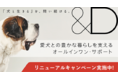 メニコン「&D」のコアサービス「犬のみらい保障」がスタート！