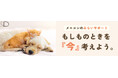 愛猫の終生飼養をスタート! メニコン「&D」 飼い主の「もしもの時」の終生飼養サービスリニューアル