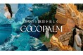 地肌・髪に自然のしなやかさを纏う サステナブルヘアケアブランド「COCOPALM(ココパーム)」をリニューアル
