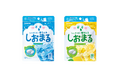 しょっぱくない塩ラムネ「しおまる」がドラッグマガジン主催「ヒット商品賞・話題商品賞」の話題商品賞を受賞！