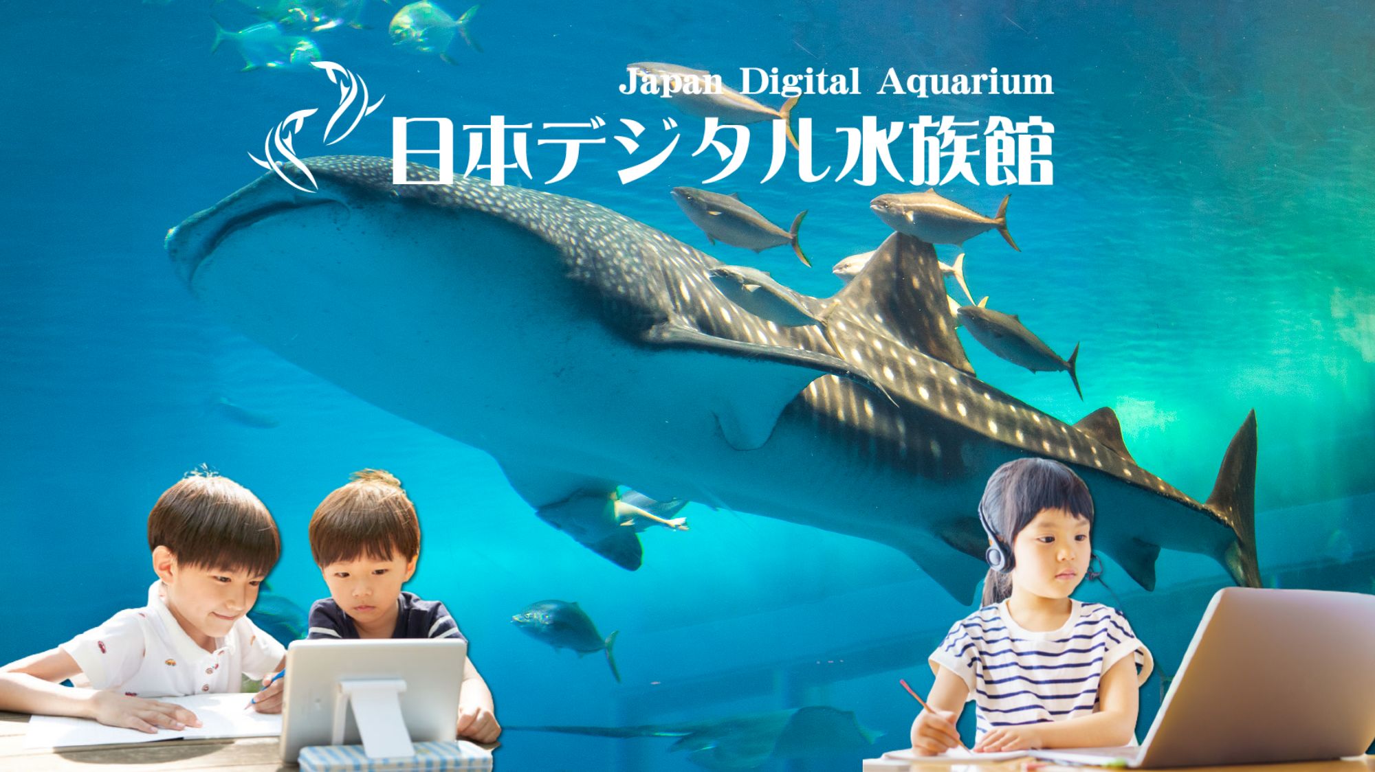 新着 NHK水族館DVD 3枚セット 横浜八景島 新江ノ島 大分マリンパレス