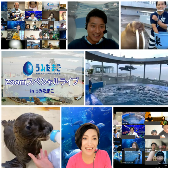 日本デジタル水族館 マリーンパレス ショーやライブなどの模様を世界配信しました 株式会社セラビーのプレスリリース