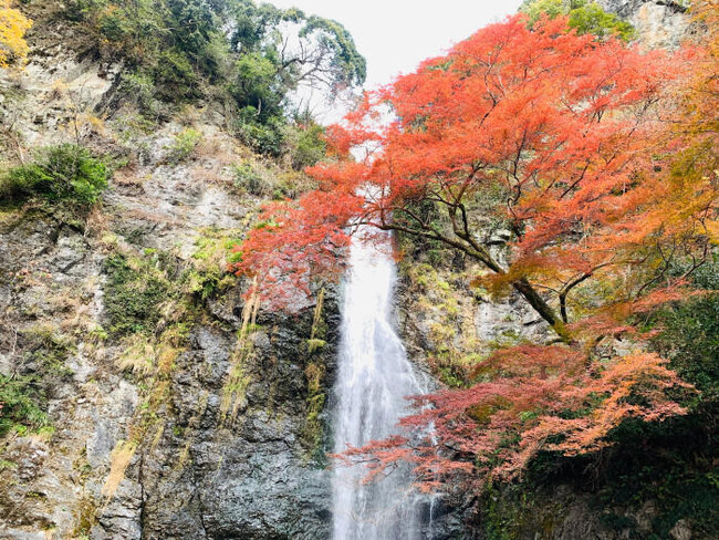 箕面大滝