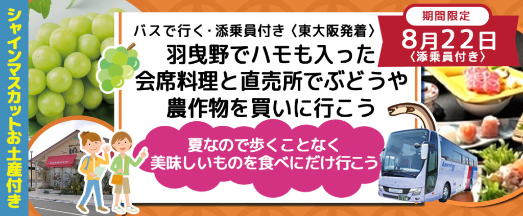 新品 】 【かなり貴重‼️】はとバス旅行全国観光地図 東海・近畿