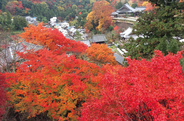 長谷寺　イメージ