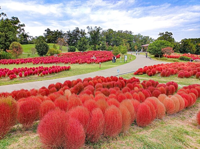 馬見丘陵公園　イメージ