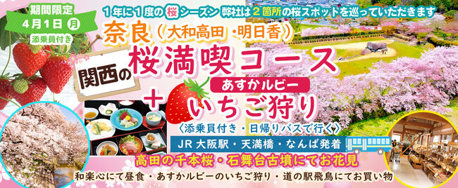 4月1日(月) お一人様9,800円！桜のお花見２カ所&いちご狩り【春の訪れを彩る】お得な価格で楽しむ！桜のお花見といちご狩り日帰りバスツアー開催