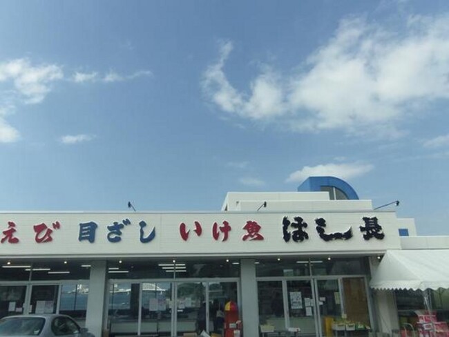 フィッシュテラス はし長