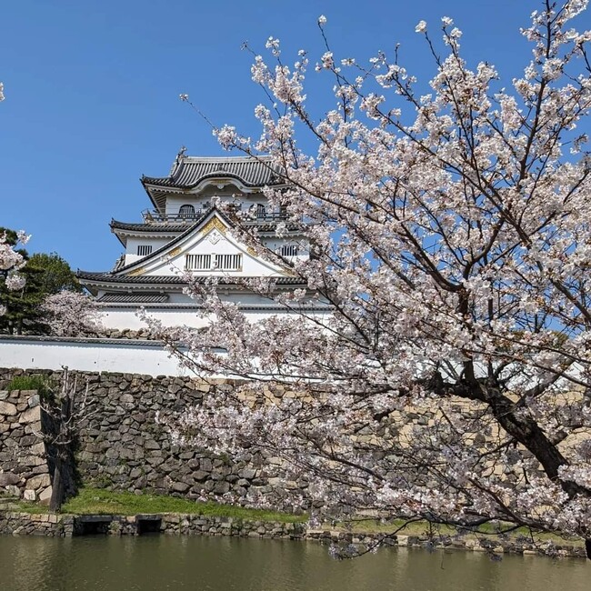 岸和田市：岸和田城