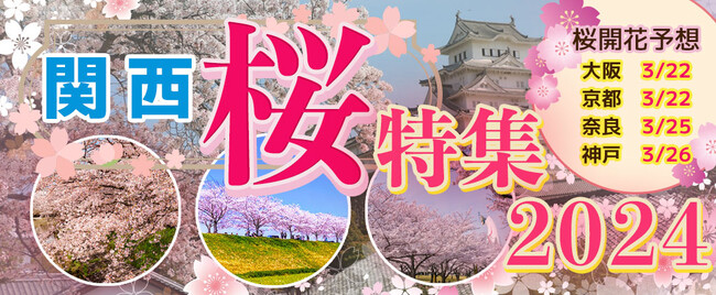 ３月２４日～４月７日限定！お一人様￥4,980-　春季限定水都大阪の定番お花見クルーズ　大川さくらクルーズ ＋選べるレストランでの昼食プラン