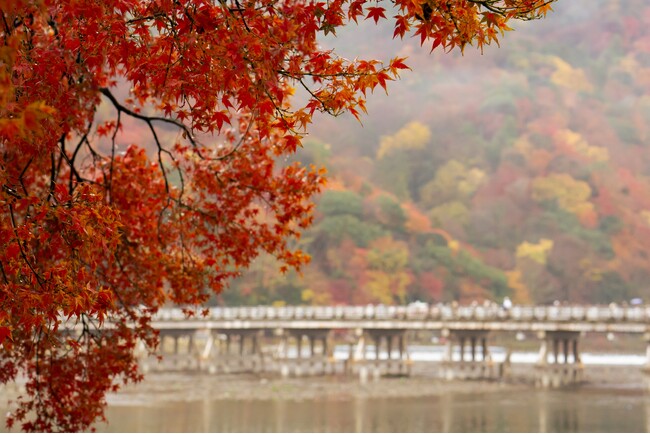 渡月橋