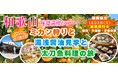 和歌山味覚満喫ツアー:お土産付き!!ミカン狩りと湯浅醤油見学と太刀魚料理の旅12月2日(月)〈梅田・天満橋・京橋発着〉お一人様11,300円!〈添乗員付き〉日帰りバスツアー