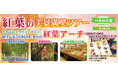 催行確定に付き10席増席!!11月26日(火) 紅葉の美景満喫ツアー滋賀高島メタセコイア並木国宝長寿寺の約100本もの紅葉アーチ。〈添乗員付き〉日帰りツアーお一人様10,800円!