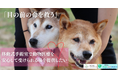 Fintertech、KASSAIを福岡の愛護団体NPO法人セブンデイズにシステム提供