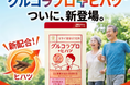 【リニューアル】グルコラプロ＋ヒハツ販売開始のお知らせ