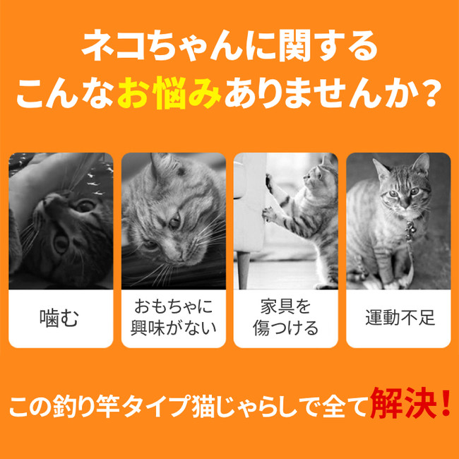 大満足の6点セット 猫 おもちゃ ねこじゃらし 釣り竿 が販売開始します イエロー株式会社のプレスリリース