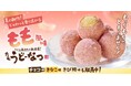 みずみずしい桃をイメージした夏限定！じゅわっと香り広がる『丸亀うどーなつ もも風味』2026年6月2日（火）より全国の丸亀製麺で販売開始