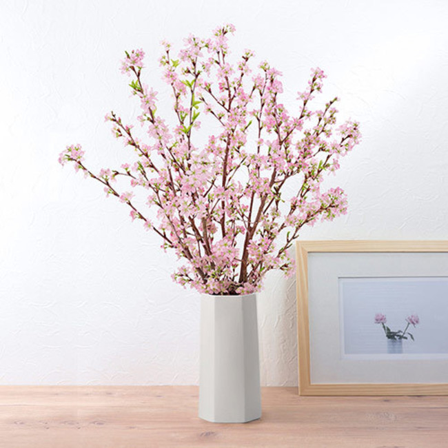 桜 イメージ 桜 イメージ
