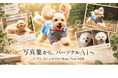 AppBank、写真集『ノワと、日々。』を起点にPersonal AI「Money Twin」の世界観を伝える新コラムを公開