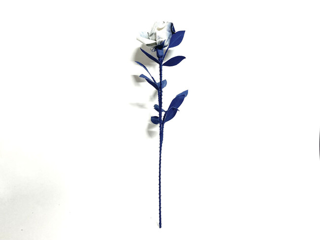 DENIM ROSE-藍バラ- MIX BLUE 色
