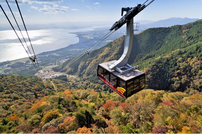 紅葉の絨毯の上を進むロープウェイ