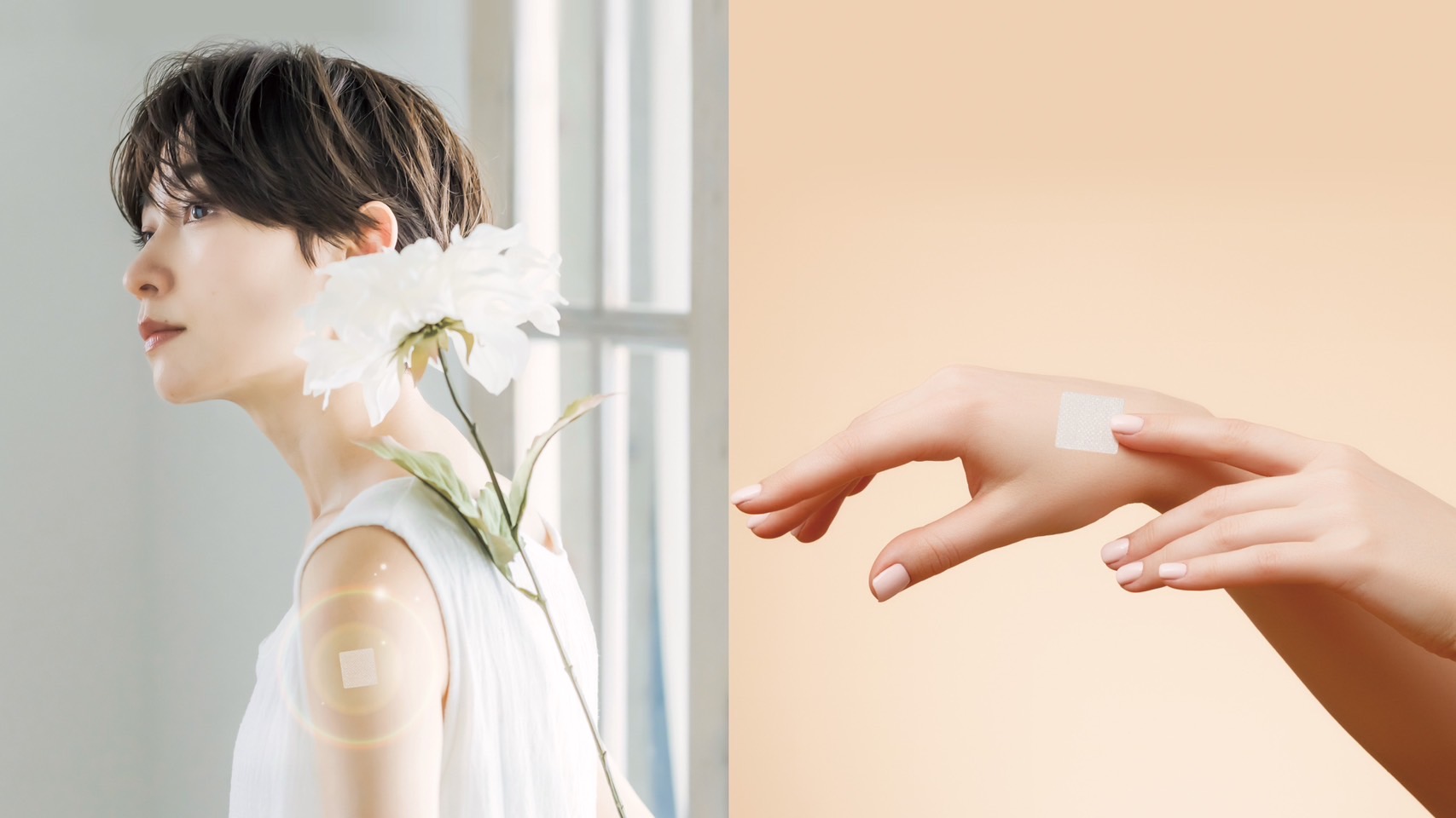 シンビのリーフレット