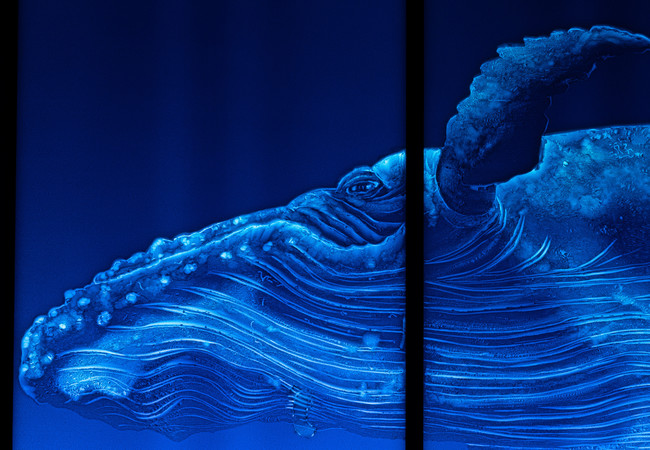 《YOU GOT WATER 01(部分)》2015年 《YOU GOT WATER 01(部分)》2015年