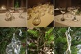 <ARTIDA OUD>THE ANOTHER MUSEUMにて「Asako Kawachi」の展示販売を開催