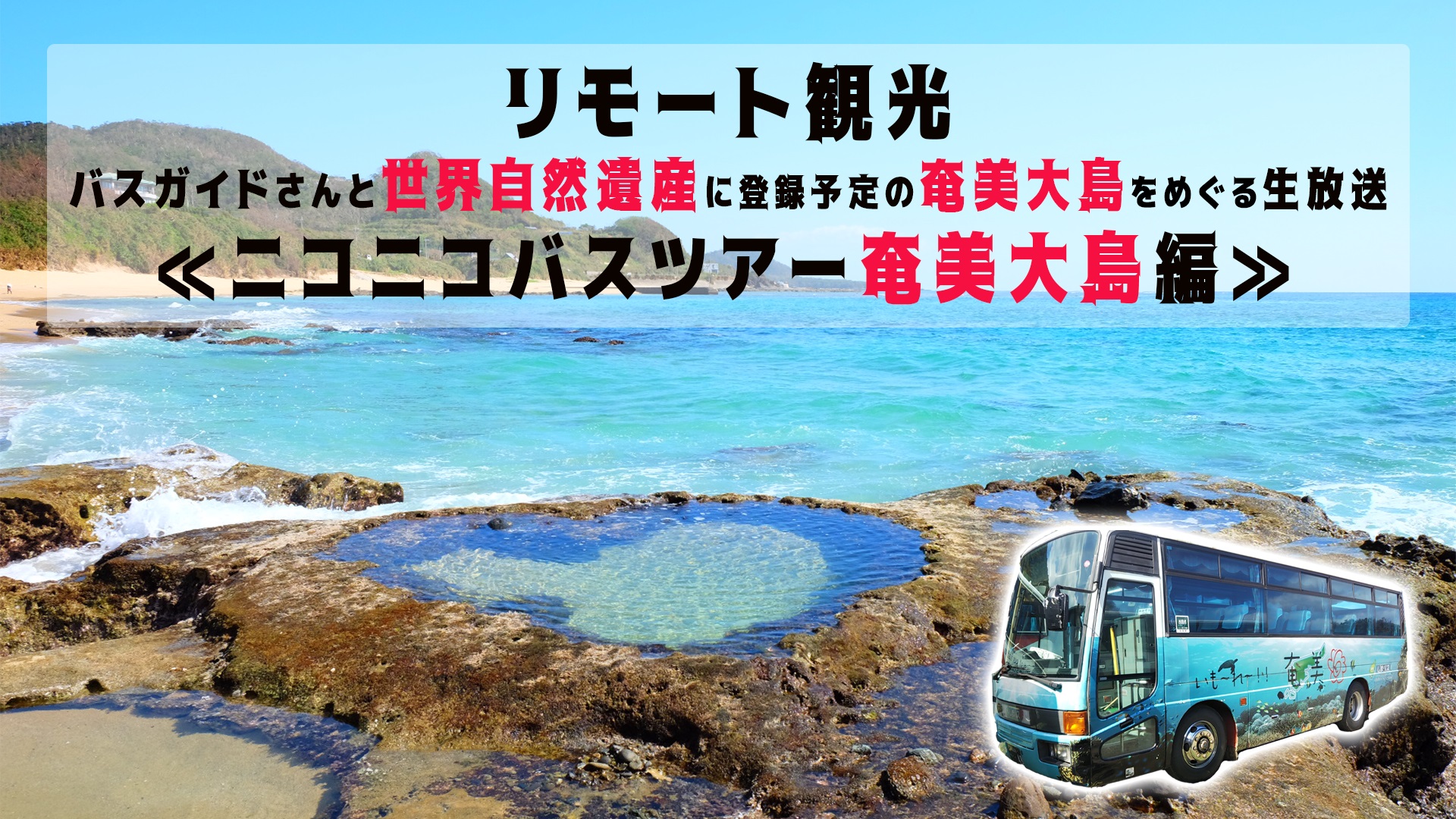 リモート観光 バスガイドさんと世界自然遺産に登録予定の奄美大島をめぐるオンラインバスツアーをニコニコで生配信 参加無料 株式会社ドワンゴ ニコニコ事業本部 ライブ事業本部のプレスリリース