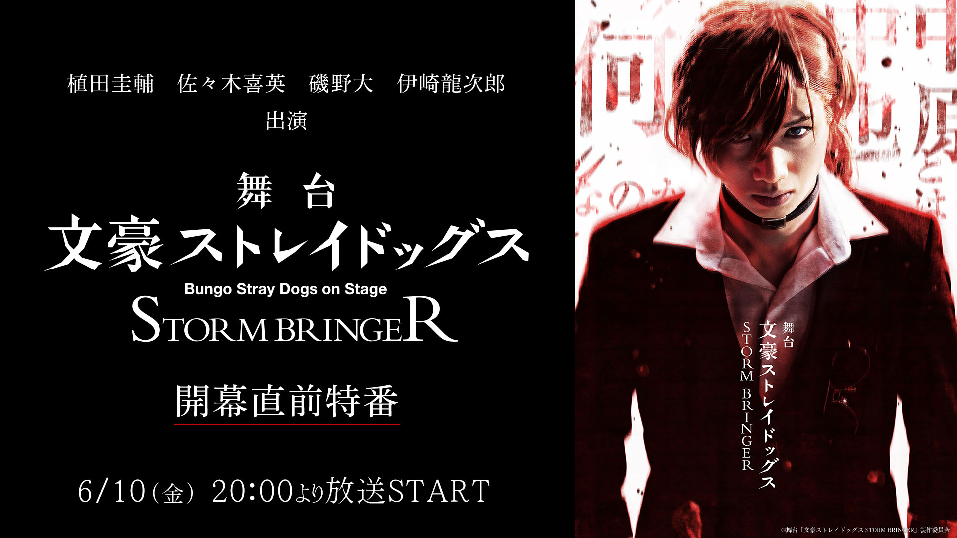 舞台 文豪ストレイドッグス DVD舞台 STORM BRINGER 特典完備 - fawema.org