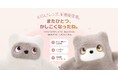 【SwitchBot】AIパートナーロボット「KATAフレンズ」が大型アップデート！ 会話機能「ちきゅう語モード」を追加。新しい「ひとみ」や名前で、さらに「うちの子」らしく。