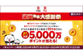「楽天ペイ」「楽天ポイントカード」、総額5,000万ポイント進呈の年末大感謝祭キャンペーンを実施