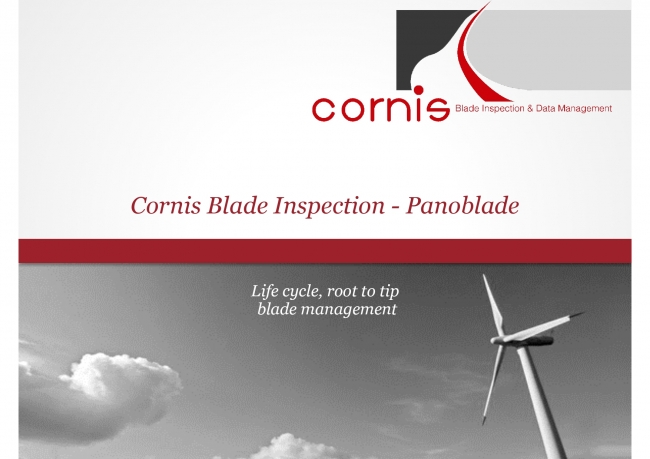 風力発電設備AIブレード分析サービス Cornis Blade Inspection