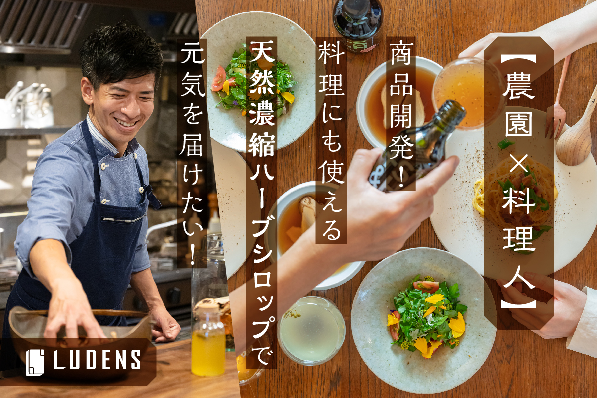 農園 料理人 料理にも使える５種の天然濃縮ハーブシロップ Camp Fireにて先行販売開始 Ludensのプレスリリース