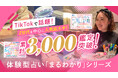 TikTokで話題の「まるわかりシリーズ」累計3,000鑑定！ “世界にひとつの鑑定書”“誰かに勧めたくなる占い体験”がZ世代を中心に人気拡大！