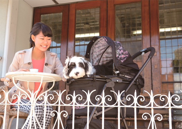 中型犬用ペットカート「コムペット ミリクラン」５月下旬新発売