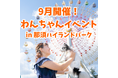 9月のわんちゃんイベントのお知らせ
