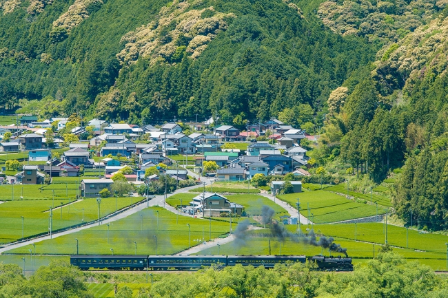 SLが茶畑の中を走る、のどかな風景が日常の大井川流域