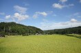 洋菓子のコロンバンが「能登復興応援原宿マルシェ」を定期開催