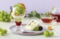 【Afternoon Tea】シャインマスカットと巨峰のスイーツプレートなど、葡萄・栗・さつまいもの秋の新作グルメを発売